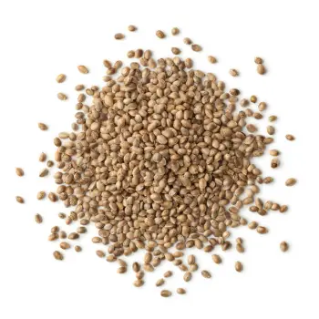 Common Hemp Seeds